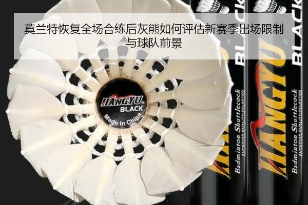 莫兰特恢复全场合练后灰熊如何评估新赛季出场限制与球队前景
